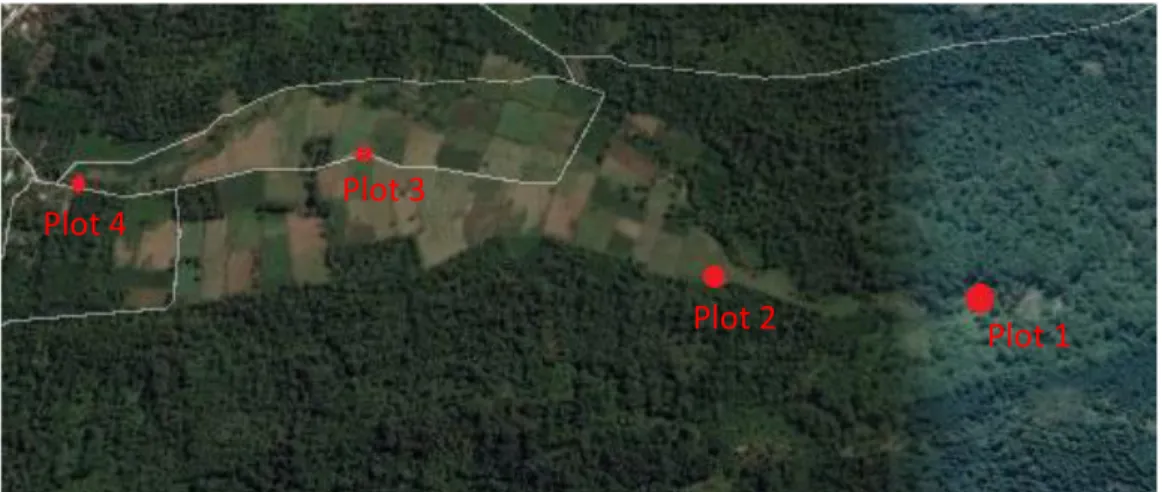 Gambar 2. Kenampakan Lahan Fieldtrip di Dusun Sayang yang di Ambil dari Citra  Satelit Google Earth