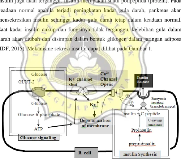 Gambar 1. Mekanisme Sekresi Insulin  (Kramer et al., 1995) 
