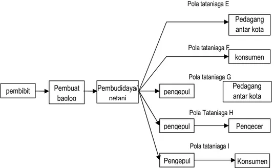 Gambar 2. Pola Tataniaga Jamur Kuping Kering  2.   Analisis  Struktur  Pengaturan  /  Analysis  of 