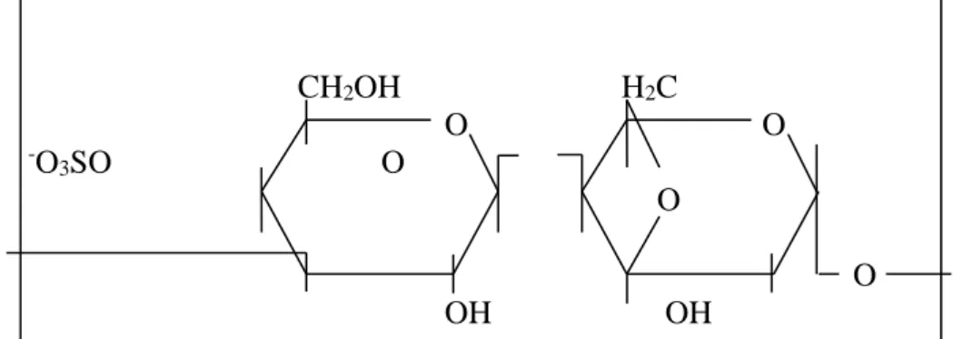 Gambar 2. Struktur bangun kappa karagenan (Gaman dan Sherrington, 1994)  Menurut  Fardiaz  (1989),  pembentukan  gel  adalah  suatu  fenomena  penggabungan  atau  pengikatan  silang  rantai-rantai  polimer  sehingga  terbentuk  suatu  jala  tiga  dimensi  