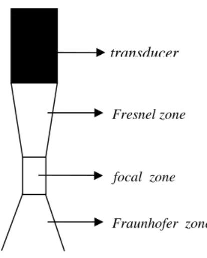 Gambar 8 Area penerimaan pada sonogram (Barr 1990)