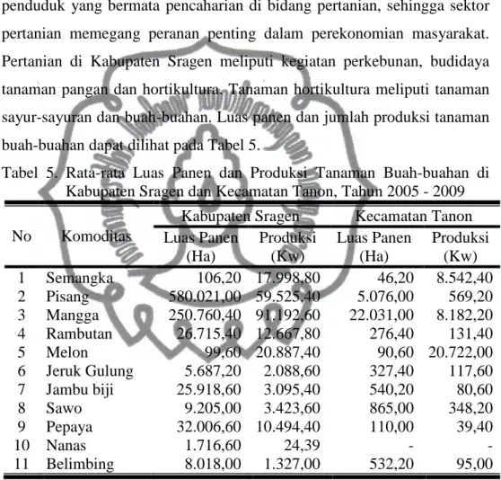 Tabel  5.  Rata-rata  Luas  Panen  dan  Produksi  Tanaman  Buah-buahan  di  Kabupaten Sragen dan Kecamatan Tanon, Tahun 2005 - 2009  No  Komoditas 