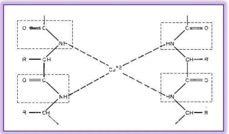Gambar 2.3 Ilustrasi Metode Faktor Refleksi untuk Analisis Protein [28]
