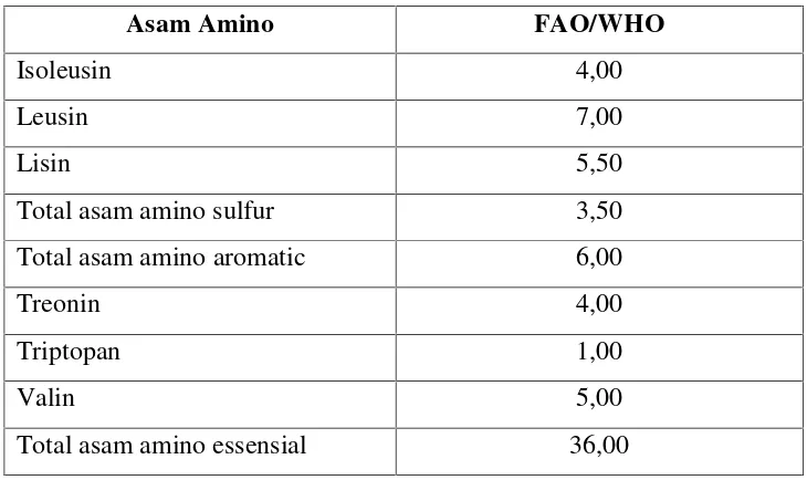 Tabel 2.2 Kandungan Asam Amino Protein Kulit Udang (g/100 g protein) [10]