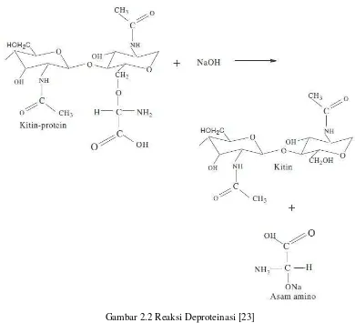 Gambar 2.2 Reaksi Deproteinasi [23]