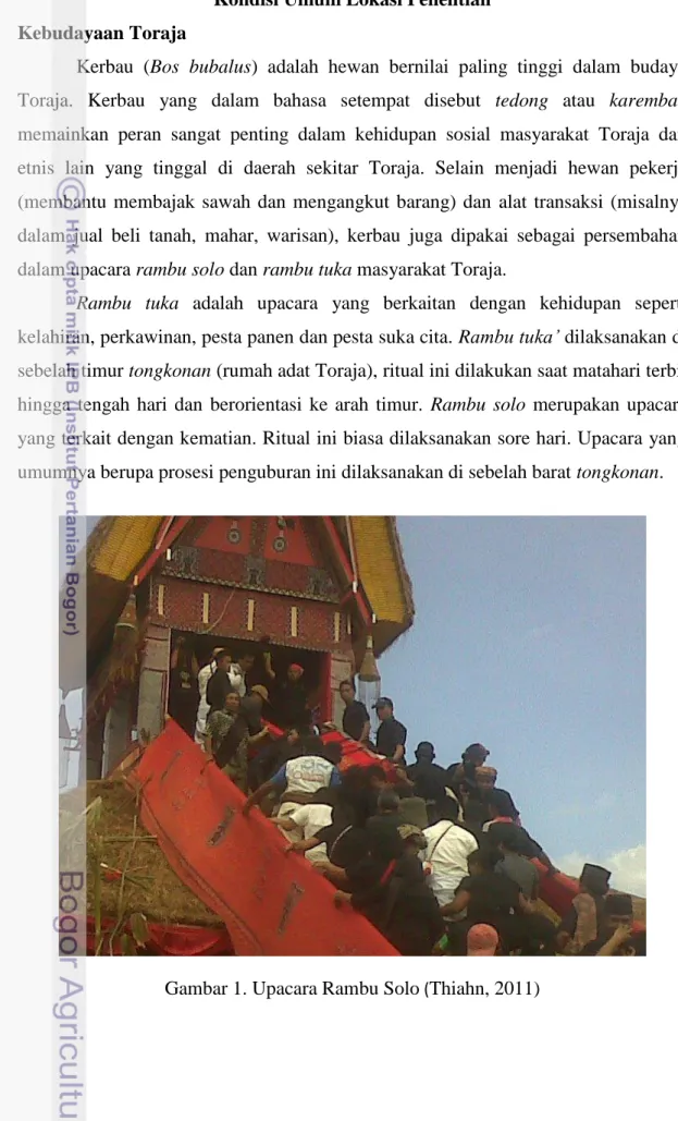 Gambar 1. Upacara Rambu Solo  ( Thiahn, 2011) 