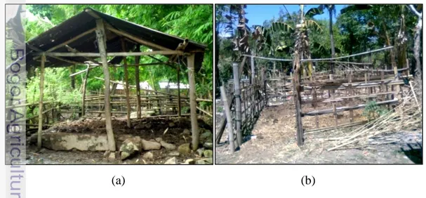 Gambar 8.   Kandang Sapi  Bali di Desa Pa’rappunganta, (a)  Kandang dengan Atap  (b) Kandang Tanpa Atap 