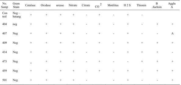 Tabel 1. Identifikasi dan Perbedaan Biovar dari genus dan species Brucella yang berhasil di  isolasi survei lapang dan menurut ( Alton )1988  