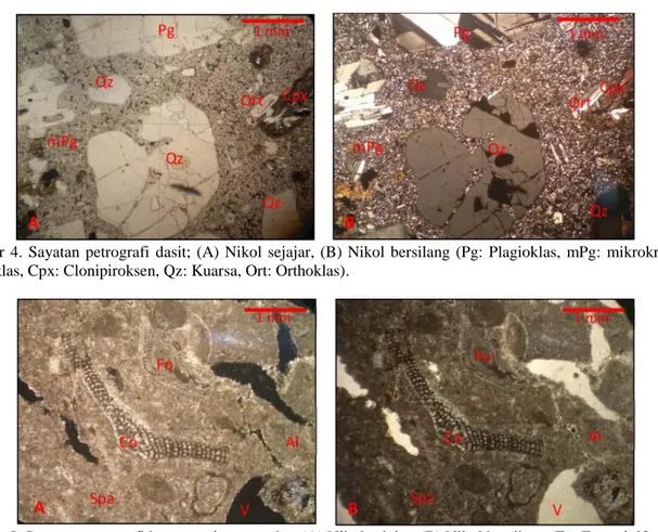 Gambar 5. Sayatan petrografi batugamping terumbu; (A) Nikol sejajar, (B) Nikol bersilang (Fo: Foraminifera; Co: 