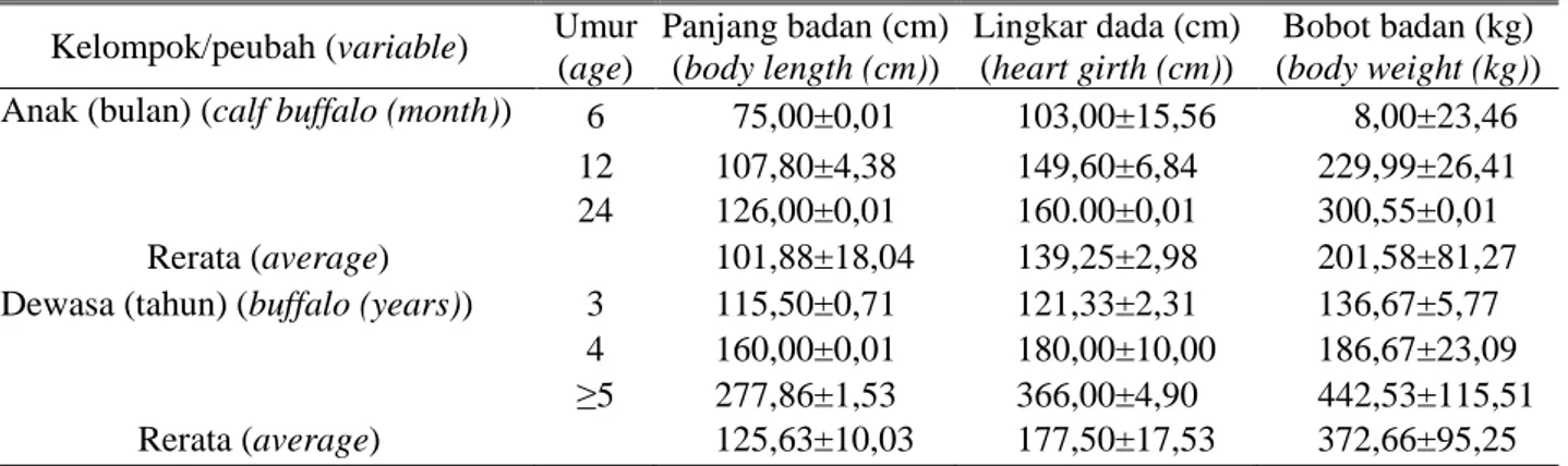 Tabel 3. Rerata ukuran tubuh kerbau di Muara Muntai (the mean of buffalo body condition in Muara Muntai) 
