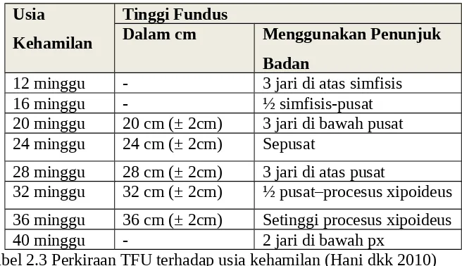 Tabel 2.3 Perkiraan TFU terhadap usia kehamilan (Hani dkk 2010)