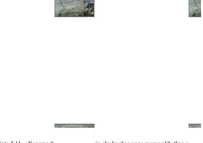 Foto 5.11. Kenampakan singkapan sekis glaukophan yang memperlihatkan struktur  foliasi  pada  salo  Pateteyang  difoto  relatif  ke  arah  N  190 o E pada stasiun BM14.