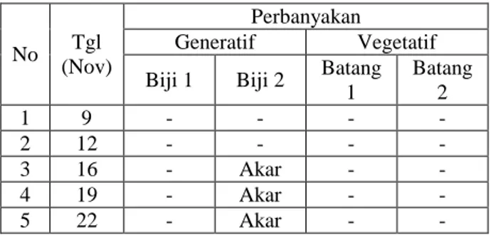 Tabel  1  Hasil  Pengamatan  perbanyakan  tumbuhan  Binahong (Anredera cordifolia (Ten.) Steenis) 