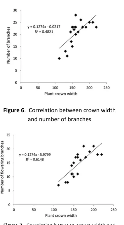 Figure 6.  Correlation between crown width 