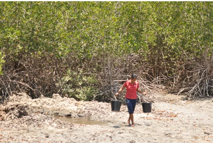 Gambar 6. Ak vitas masyarakat di hutan mangrove. 