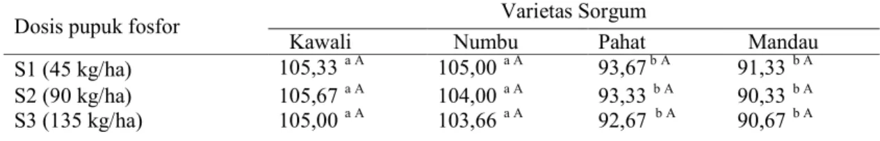 Tabel 6. Rata-rata umur panen (HST) beberapa varietas sorgum yang diberi  pupuk fosfor