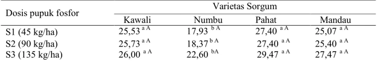 Tabel  8.  menunjukkan  bahwa  peningkatan  pemberian  pupuk  fosfor  dari  45  kg/ha  sampai  90  kg/ha  dan  135  kg/ha  dapat  meningkatkan  berat  biji  per  malai  secara nyata pada varietas Kawali,  Numbu dan Mandau, tetapi pada varietas  Kawali terj