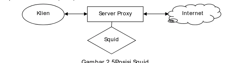 Gambar 2.5Posisi Squid 