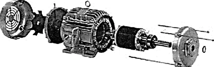 Gambar 2. 2. Motor Tipe Rotor Sangkar Tupai (squirrel-cage rotor) 