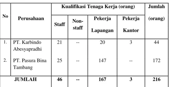 Tabel 3. Kompilasi Jumlah dan Proporsi Tenaga Kerja PT. Karbindo  Abesyapradhi Tahun 2011 