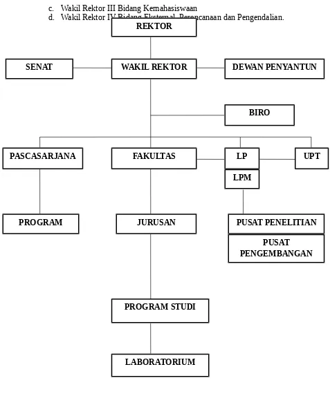 Gambar 3.1 Struktur Organisasi Universitas Hasanuddin