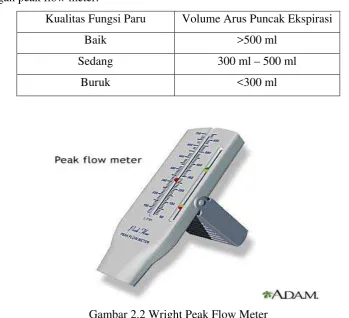 Gambar 2.2 Wright Peak Flow Meter 