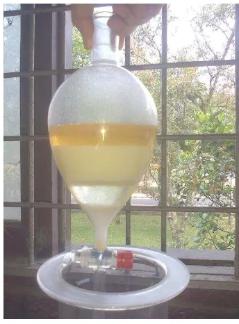 Gambar C.1 Proses Pembuatan Bahan Penyerasi Alkanolamida 