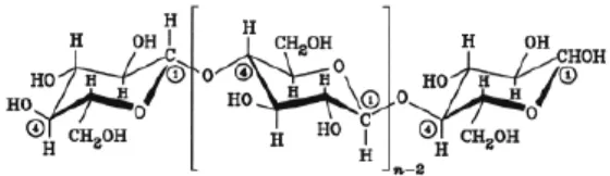 Gambar 2.1 Struktur Tunggal Molekul Selulosa [13] 