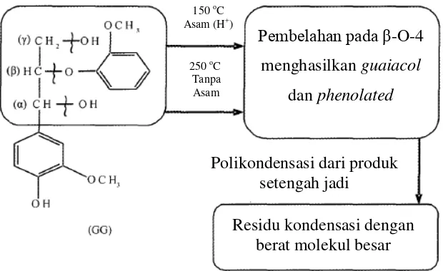 Gambar 2.4 Mekanisme Reaksi Likuifikasi Lignin Dengan Fenol dengan Katalis  Asam dan Tanpa Katalis Asam [18] 