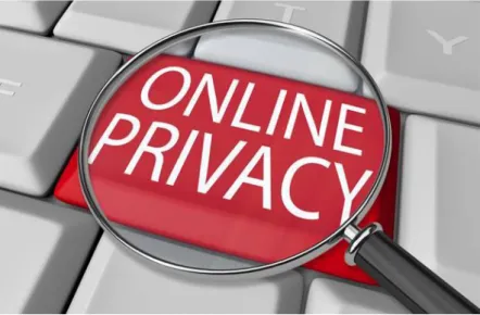Gambar : Privasi 