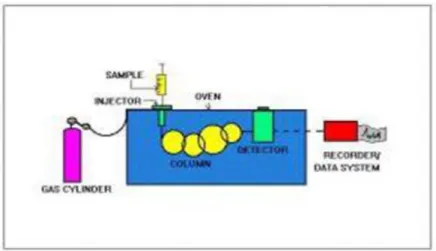Gambar 2.4 Bagan alat gas chromatography 
