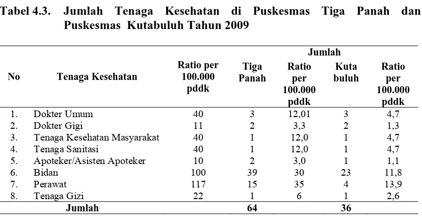 Tabel 4.3.  Jumlah Tenaga Kesehatan di Puskesmas Tiga Panah dan  Puskesmas  Kutabuluh Tahun 2009 