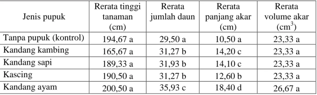 Tabel  1.  Pengaruh  jenis  pupuk  terhadap  tinggi  tanaman,  jumlah  daun,  panjang  akar  dan volume akar sorgum manis 