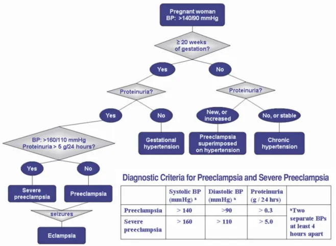 Gambar 1. Klasifikasi hipertensi dalam kehamilan 