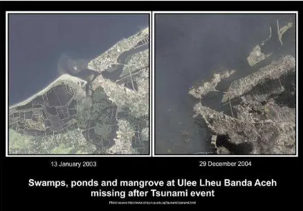 Figure 18.  Satellite photo: Conditions in Ulee Lhue, Banda Aceh before and after the Tsunami