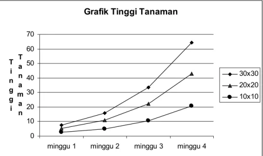 Grafik Tinggi Tanaman 010203040506070