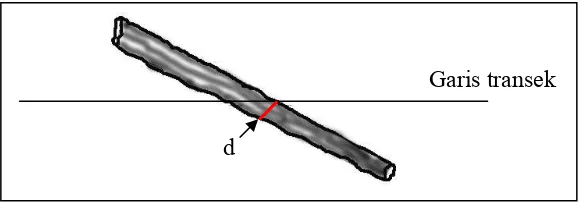 Gambar 7.: Prinsip pengukuran diameter kayu mati tumbang pada metode transek garis.   