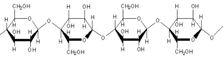 Gambar 2.2 Struktur kimia selulosa (Streitweiser, 1987). 