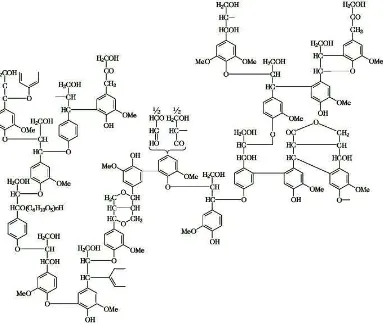 Gambar 2.3 Struktur Kimia Lignin (Haygreen, 1987). 