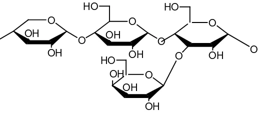 Gambar 2.4 Struktur Hemiselulosa (Sjostrom, 1995). 