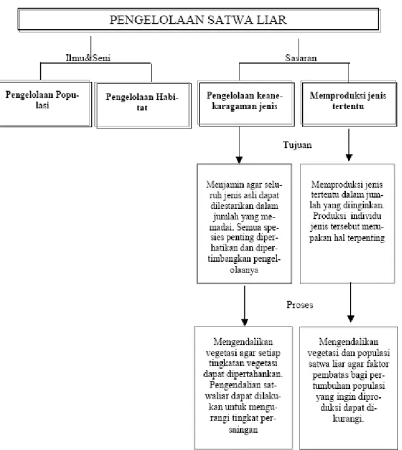 Gambar 3. Ruang Lingkup, Sasaran, Tujuan dan Proses Pengelolaan Satwa Liar 