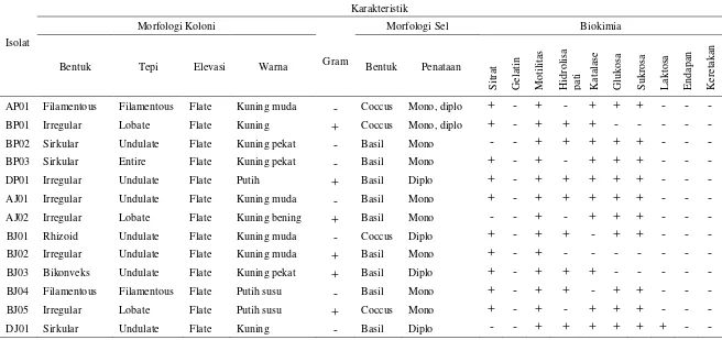 Tabel 4.2.1 Karakteristik Morfologi, Sifat Pewarnaan Gram dan Biokimia Bakteri Endofit Tanaman Padi dan Jagung 