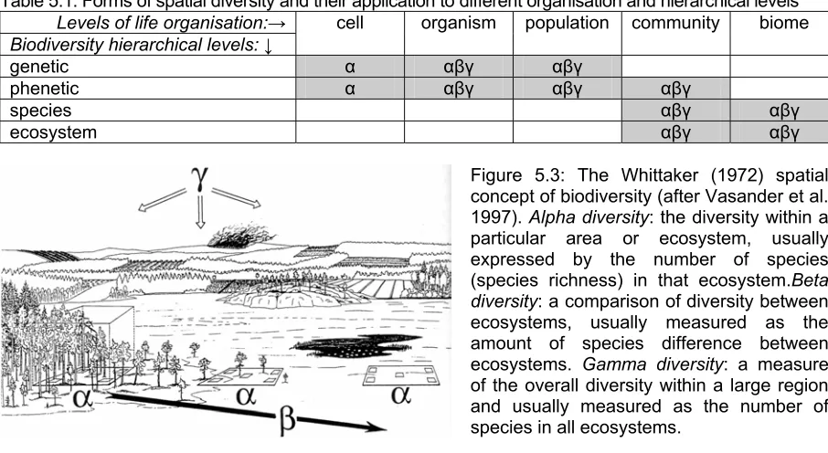 Figure 5.3: The Whittaker (1972) spatial concept of biodiversity (after Vasander et al