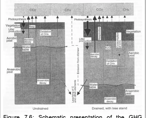 Figure 7.6: Schematic presentation of the GHG 