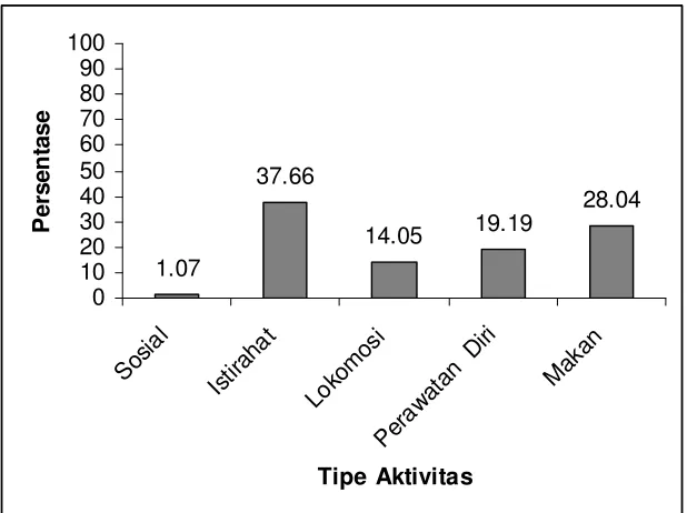 Gambar 3. Persentase Tipe Aktivitas
