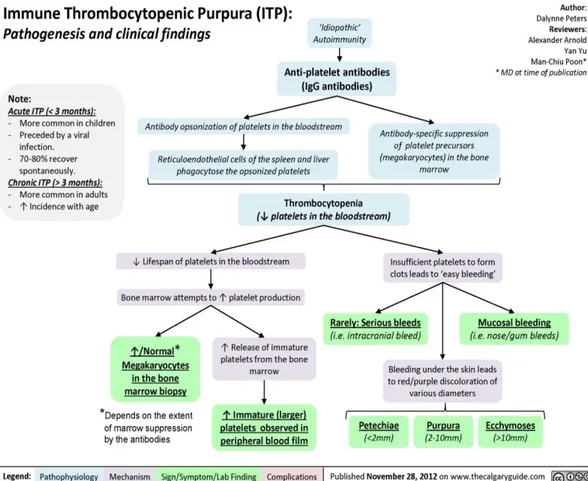 Gambar 2.4 Patofisiologi ITP (1)