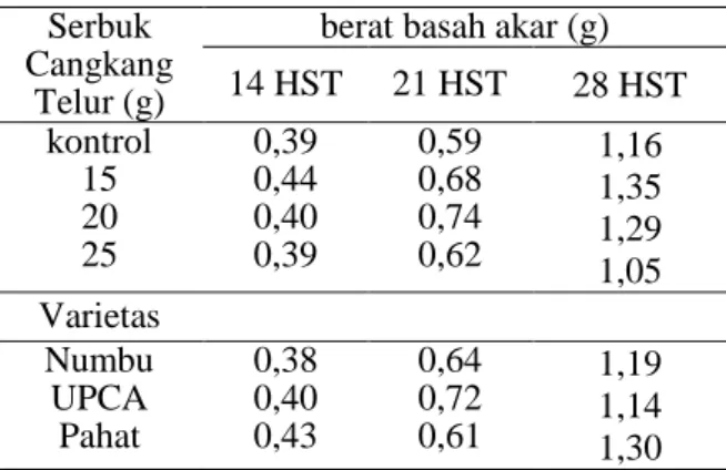 Tabel 5. Rata-rata jumlah akar tanaman sorgum pada umur 14, 21 dan 28 HST akibat pengaruh pemberian serbuk cangkang telur dan beberapa varietas.