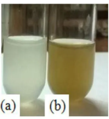 Gambar 2. Hasil     analisis           kualitatif   senyawa  polifenol  ekstrak  buah salak  varian:  (a)  blanko; 
