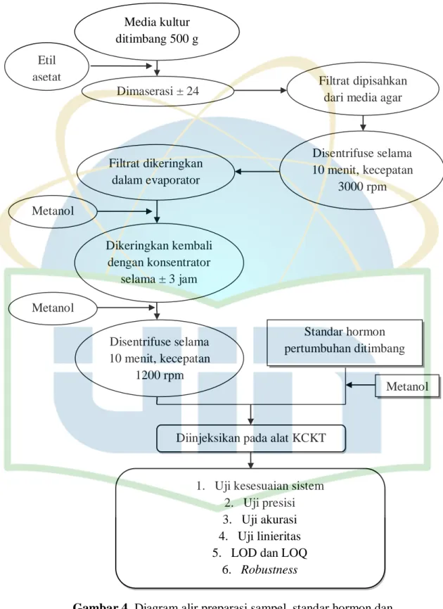 Gambar 4. Diagram alir preparasi sampel, standar hormon dan  validasi metode penelitian 