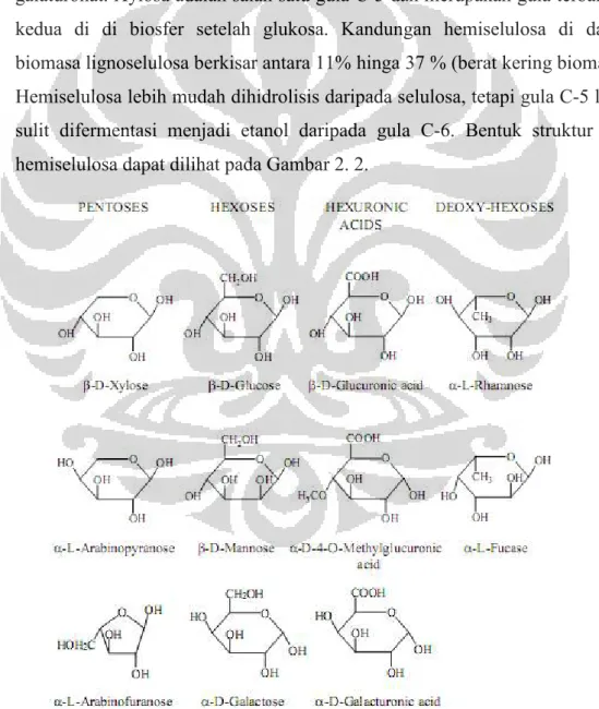 Gambar 2. 2 Struktur Hemiselulosa 